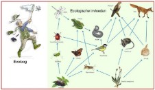 Ecologische invloeden