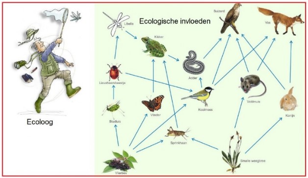 Spinoza ecologie